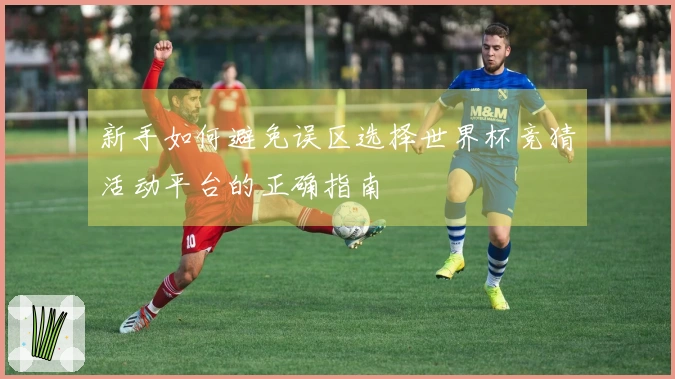 新手如何避免误区选择世界杯竞猜活动平台的正确指南