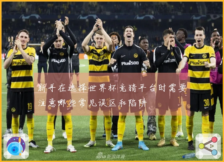 新手在选择世界杯竞猜平台时需要注意哪些常见误区和陷阱